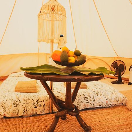 Yurt In Avocado Garden Hotel Guimar Ngoại thất bức ảnh