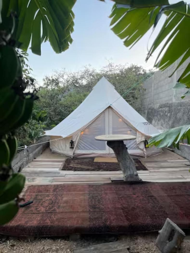 Yurt In Avocado Garden Hotel Guimar Ngoại thất bức ảnh