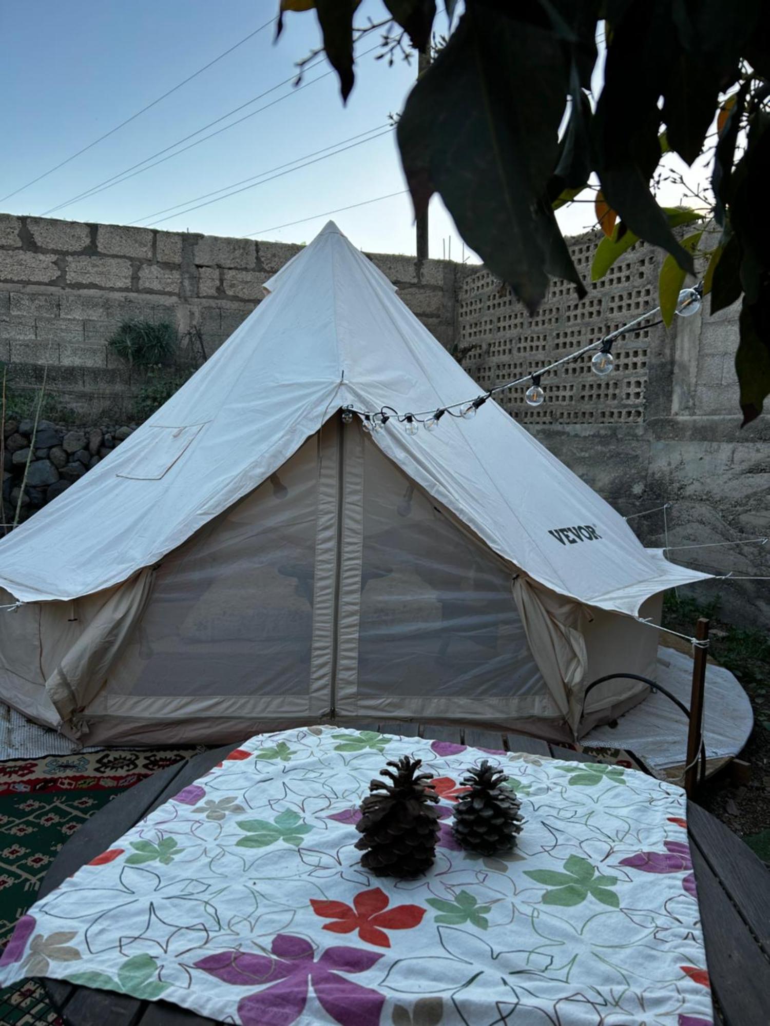 Yurt In Avocado Garden Hotel Guimar Ngoại thất bức ảnh
