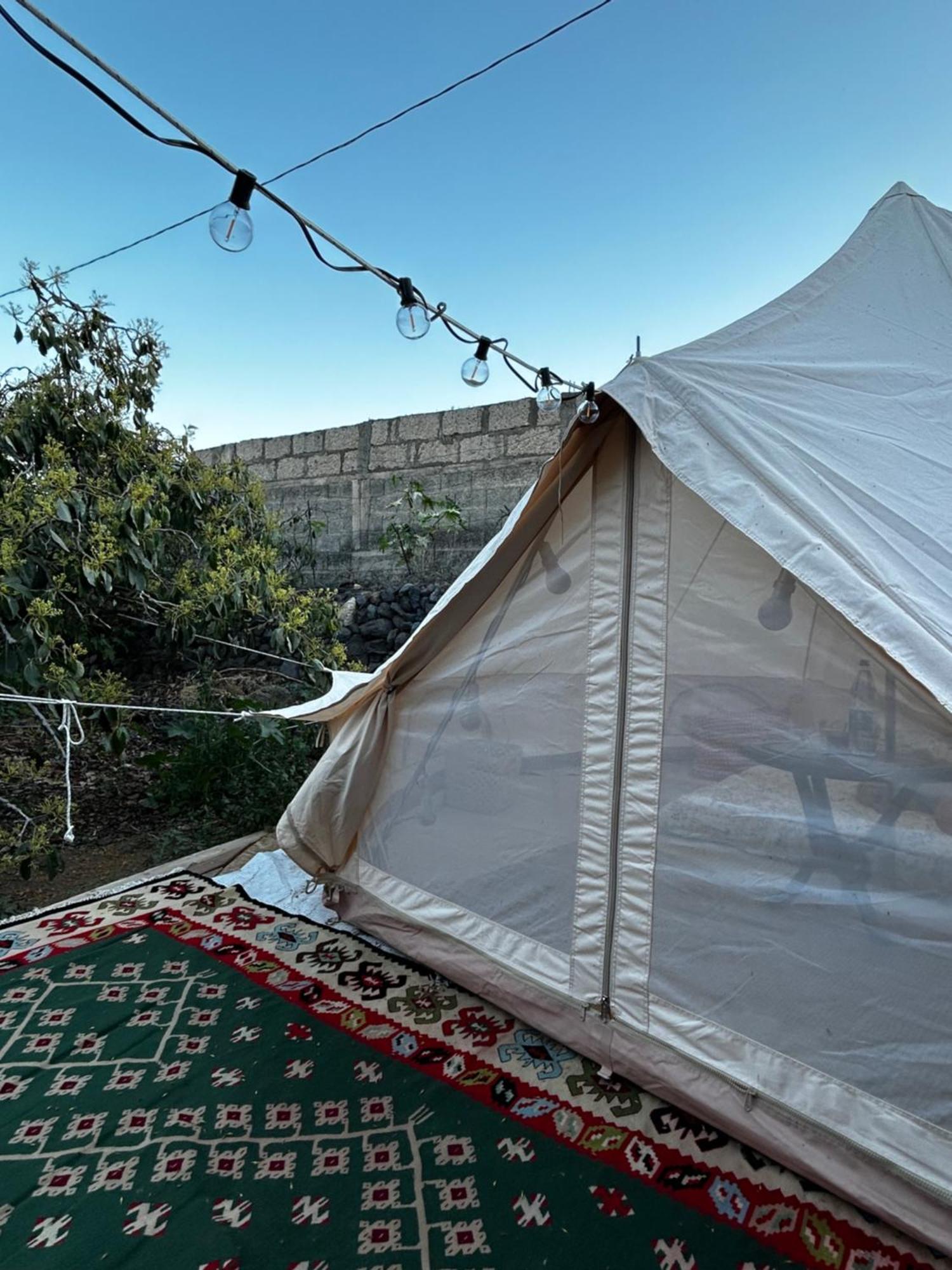 Yurt In Avocado Garden Hotel Guimar Ngoại thất bức ảnh