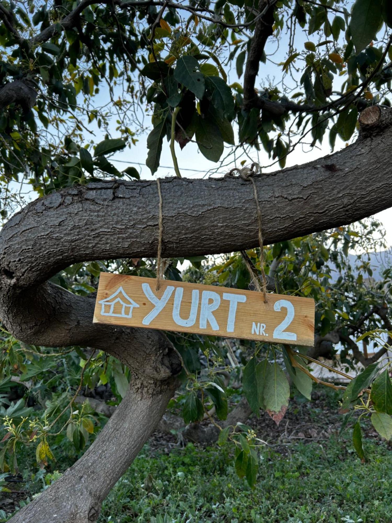 Yurt In Avocado Garden Hotel Guimar Ngoại thất bức ảnh