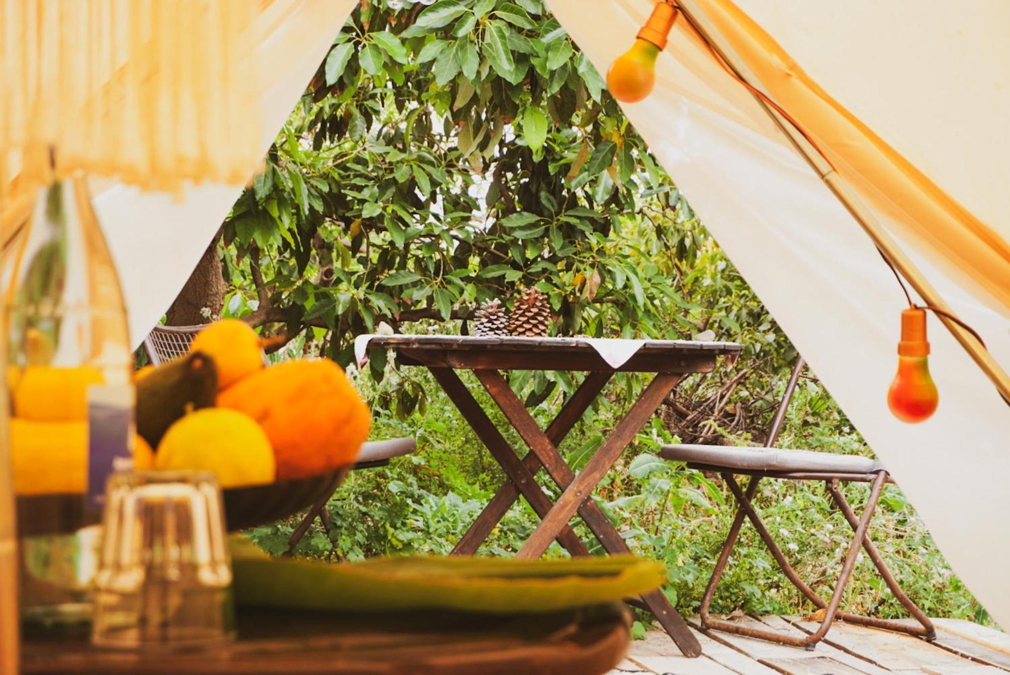 Yurt In Avocado Garden Hotel Guimar Ngoại thất bức ảnh