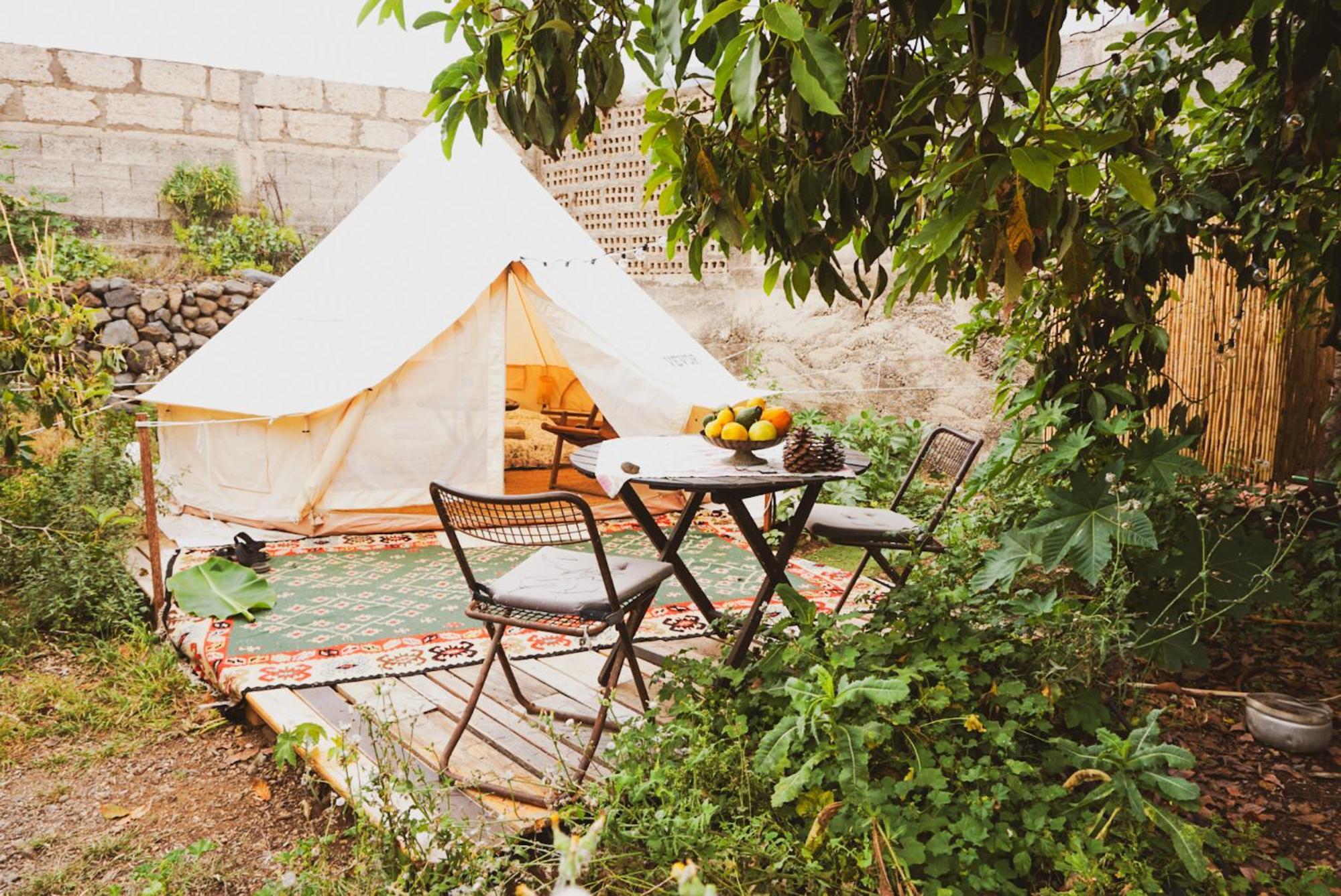 Yurt In Avocado Garden Hotel Guimar Ngoại thất bức ảnh